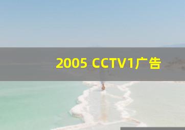 2005 CCTV1广告